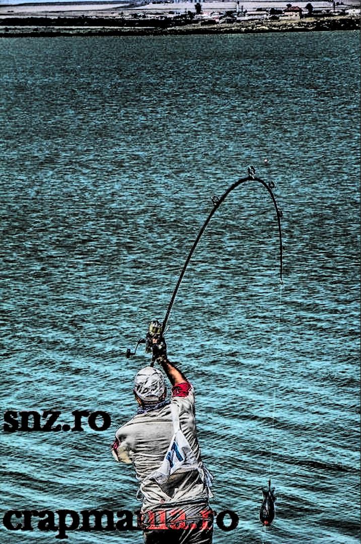 CN Corbu - 2013 (2) - 1014030hdrmode2-2.JPG